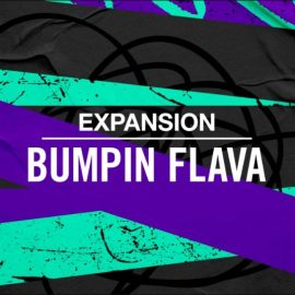 Native Instruments Bumpin Flava [WAV] (Premium)