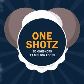 Rich Samples Oneshotz [WAV] (Premium)