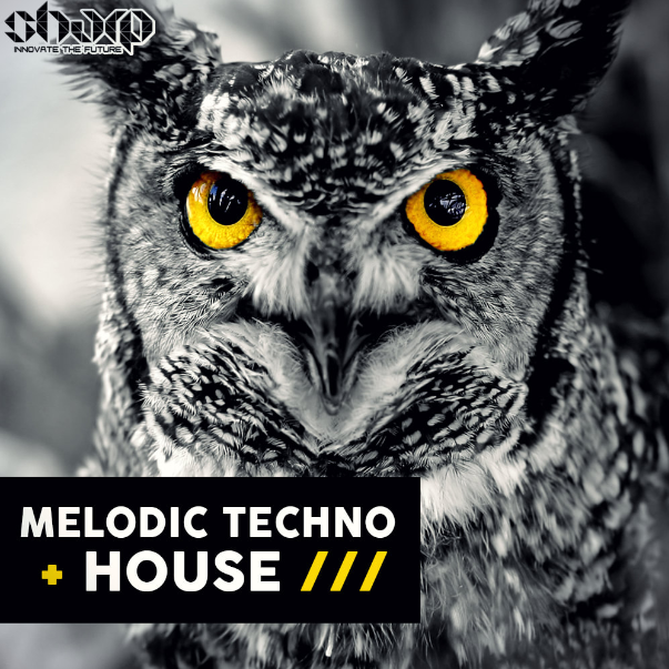 SHARP Melodic Techno and House [WAV, MiDi]