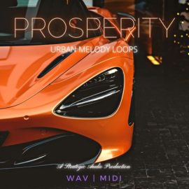 Strategic Audio Prosperity Urban Melody Loops [WAV] (Premium)