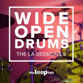 The Loop Loft Wide Open Drums Brush Boom [WAV] (Premium)