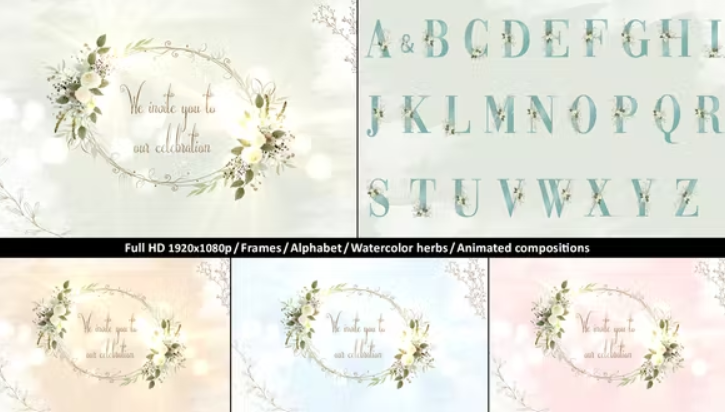 Videohive – Wedding Invitation Pack – 32884125