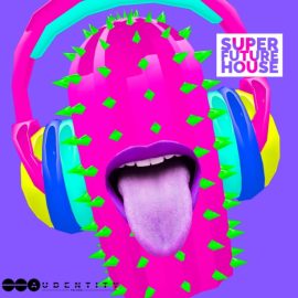 Audentity Records Super Future House [WAV, Synth Presets] (Premium)