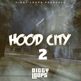 Big Citi Loops HOOD CITY 2 [WAV] (Premium)