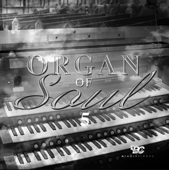 Big Citi Loops Organ Of Soul 5 [WAV]
