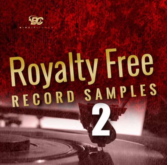 Big Citi Loops Royalty-Free Record Samples Part 2 [WAV]