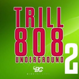 Big Citi Loops Trill 808 Underground 2 [WAV] (Premium)