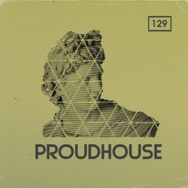 Bingoshakerz Proud House [WAV, MiDi, REX] (Premium)