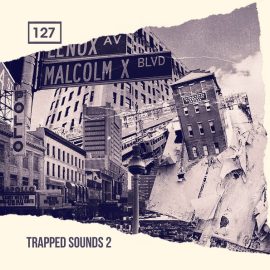 Bingoshakerz Trapped Sounds 2 [WAV, REX] (Premium)