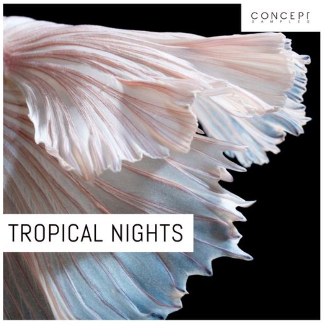 Concept Samples Tropical Nights [WAV]
