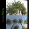 GLOBE PLANTS – PHOENIX DACTYLIFERA – TRUE DATE PALM (3D MODEL) (Premium)