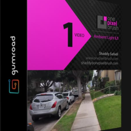 GUMROAD – AMBIENT LIGHT L1 (Premium)