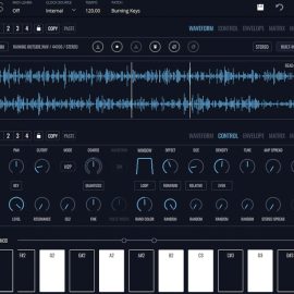 Imaginando FRMS Granular Synthesizer v1.7.0 [WiN] (Premium)