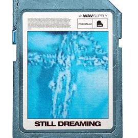 WavSupply PinkGrillz88 Still Dreaming (Loop Kit) [WAV] (Premium)