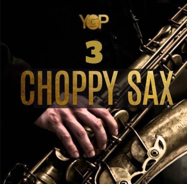 Big Citi Loops Choppy Sax 3 [WAV]