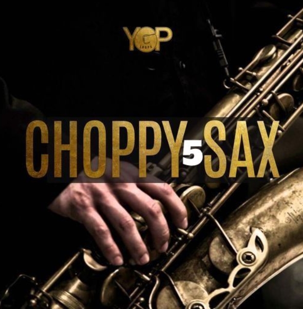 Big Citi Loops Choppy Sax 5 [WAV]