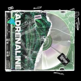 Engineering Samples Adrenaline (BASIC EDITION) [WAV] (Premium)