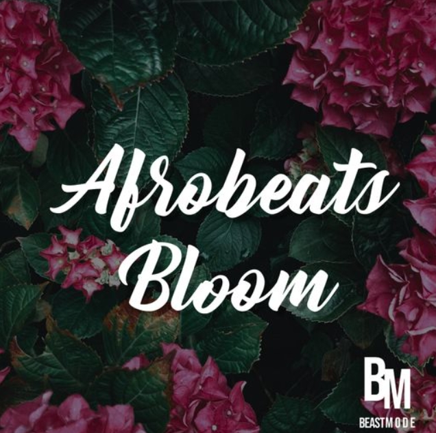 HOOKSHOW Afrobeats Bloom [WAV]