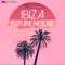 Industrial Strength TD Audio Ibiza Future House [WAV] (Premium)