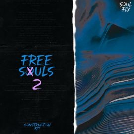 Blissful Audio Free Souls Vol.2 [WAV] (Premium)