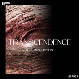 Engineering Samples Transcendence [WAV] (Premium)