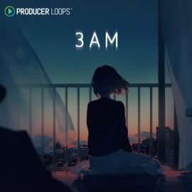 Producer Loops 3AM [WAV, MiDi] (Premium)