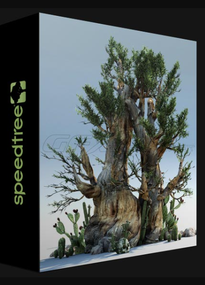 SPEEDTREE MODELER V9.2 CINEMA EDITION