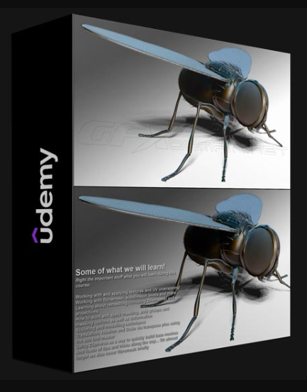 UDEMY – ZBRUSH ONLINE COURSE SCULPTING AND MODELLING “THE FLY”