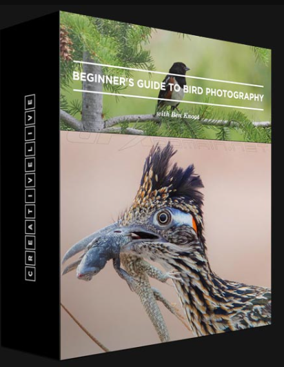 CREATIVELIVE – BEGINNER’S GUIDE TO BIRD PHOTOGRAPHY BY BEN KNOOT