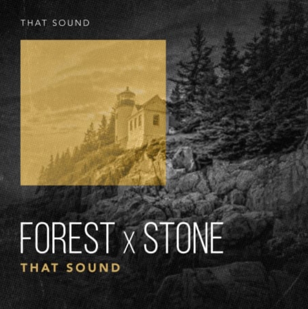 That Sound Forest X Stone [WAV]