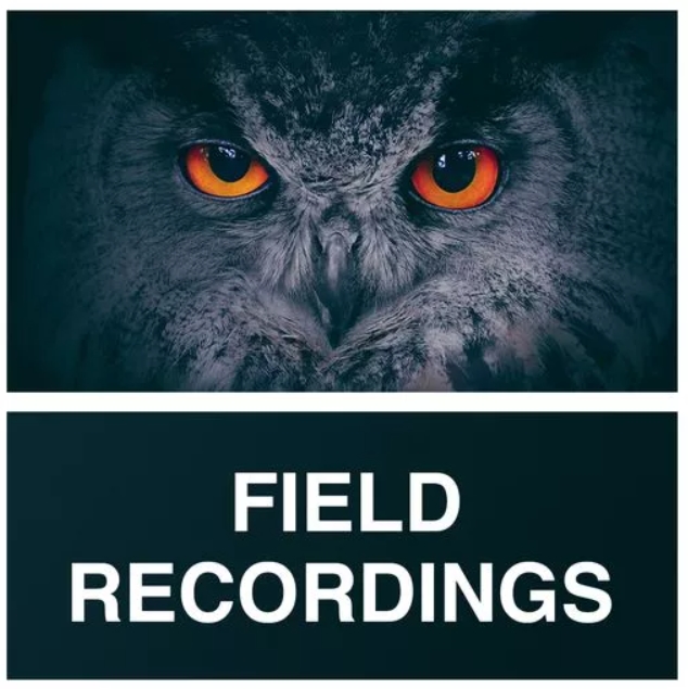 Whitenoise Records Field Recordings [WAV]
