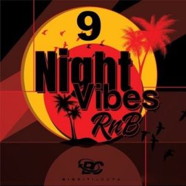 Big Citi Loops Night Vibes RnB 9 [WAV] (Premium)