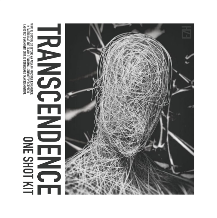 HZE Transcendence (One Shot Kit) [WAV]