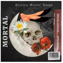 Kits Kreme Mortal Electric Guitar Loops [WAV] (Premium)