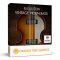 Orange Tree Samples Evolution Vintage Violin Bass [KONTAKT] (Premium)