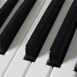 Udemy Learn To Play Carol Of The Bells On The Piano [TUTORiAL] (Premium)