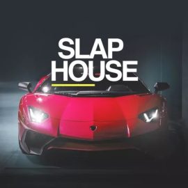 Whitenoise Records Slap House [WAV] (Premium)