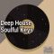 AudioFriend Deep House Soulful Keys [WAV] (Premium)