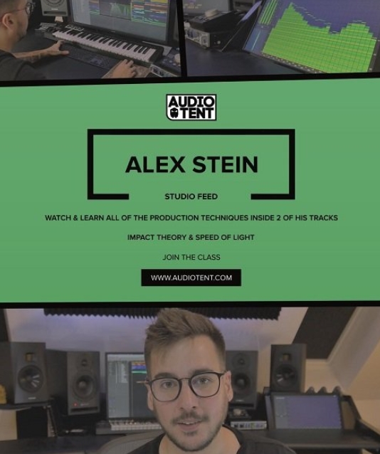 Audiotent Studio feed Alex Stein Course [TUTORiAL]