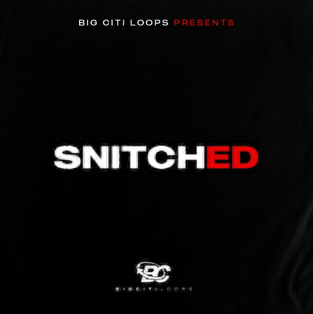 Big Citi Loops Snitched [WAV]