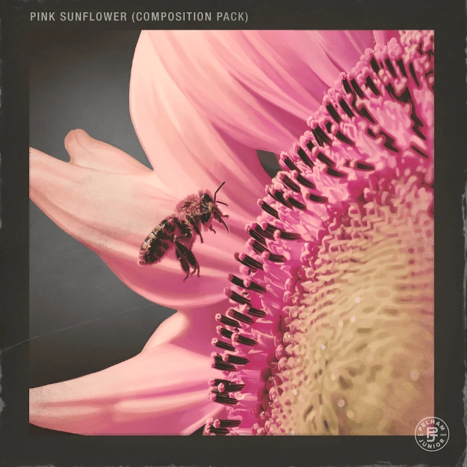 Pelham and Junior Pink Sunflower Vol.1 (Compositions and Stems) [WAV]