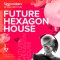 Singomakers Future Hexagon House [WAV, REX] (Premium)