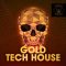 Skeleton Samples Gold Tech House [WAV] (Premium)