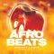 Smokey Loops Afro Beats [WAV] (Premium)