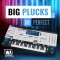 WA Production Big Plucks For ImPerfect [Synth Presets] (Premium)
