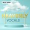 WA Production Heavenly Vocals [WAV] (Premium)
