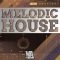 WA Production Melodic House Course [TUTORiAL] (Premium)