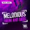 WA Production Melodious Drum and Bass [WAV, MiDi, Synth Presets, DAW Templates] (Premium)