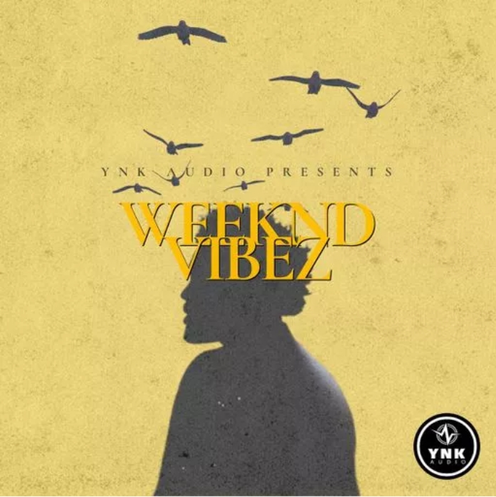 YnK Audio Weeknd Vibez: The Weeknd Type Loops [WAV]