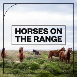 Blastwave FX Horses on the Range [WAV] (Premium)